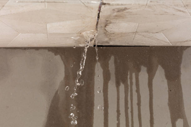 Professional Structural Drying technician working in Bradley, ME